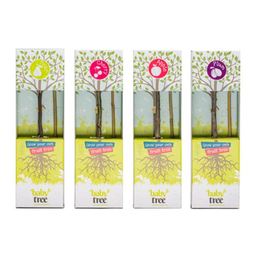 Baby Tree fruitboompakket - Afbeelding 1